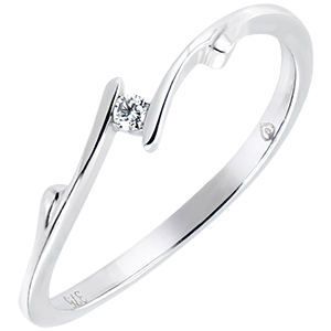 Solitaire Precious Nest - Twig - white gold 9 carats and diamond