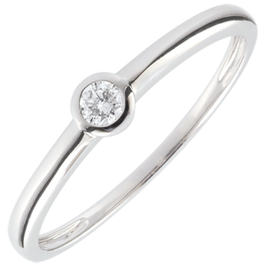 Ring Mijn Diamant - 0.08 karaat - 18 karaat witgoud