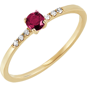 Bird of Paradise ring - Ruby solitaire- 18 carat yellow gold