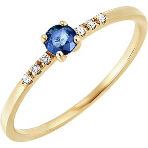 Bird of Paradise ring - Sapphire Solitaire - 18 carat yellow gold