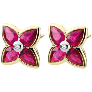 Beautiful Ruby Star Earrings