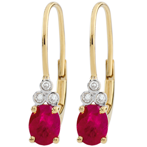 Boucles d'oreilles Exquises - rubis et diamants - or jaune 9 carats