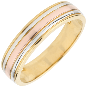 Wedding Ring Tricoloured Odysseus