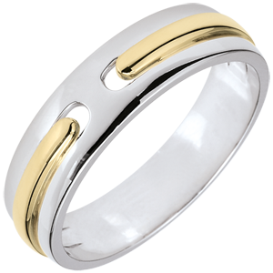 Wedding Ring Promise - all gold - two golds - very large model