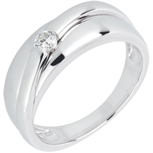 Ring Solitaire Hestia - 18 karaat witgoud met diamant