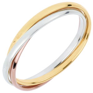 Trouwring Saturnus Beweging - klein model - 3 goudkleuren, 3 Ringen 18 karaat goud