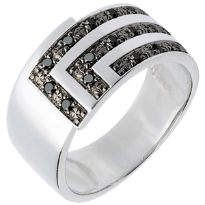 AP3213 - Ring Harmonie aus Weißgold und schwarzen Diamanten