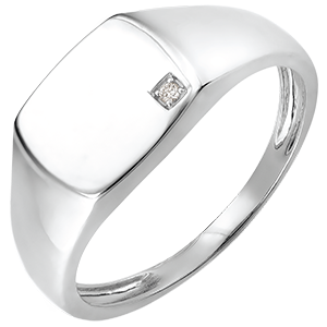 Pierścionek Światłocień - Sygnet Eneasz - 9 karatowe białe złoto i diament