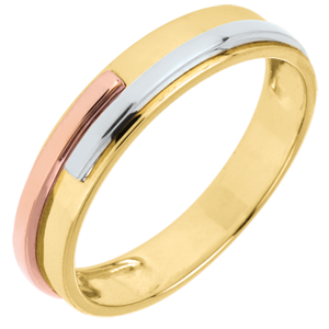 Wedding Ring Yellow Titan - Three golds