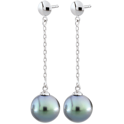 Abondance No. 31 Abondance No. 31