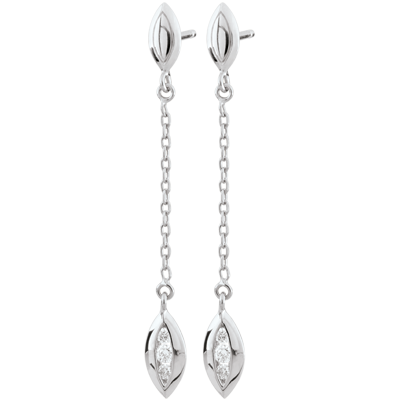 Abundancia n.º 14 Abundancia n.º 14