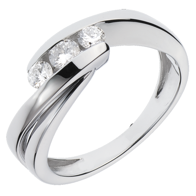 Amour No. 14 Amour No. 14