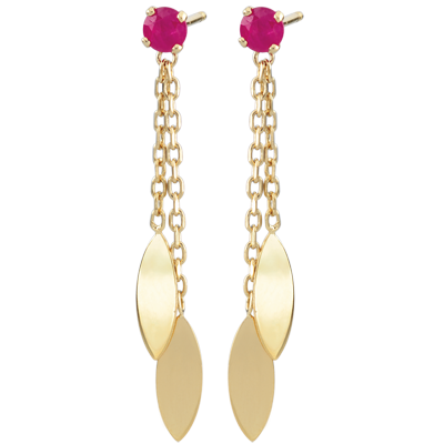 Aves del Paraíso n.º 11