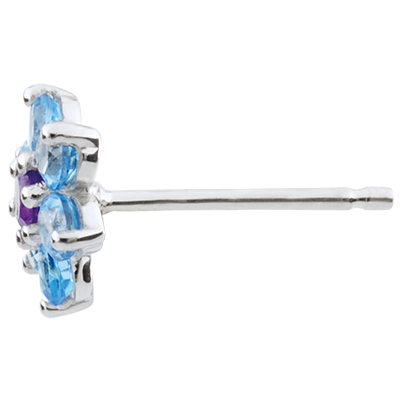 Aves del Paraíso n.º 17