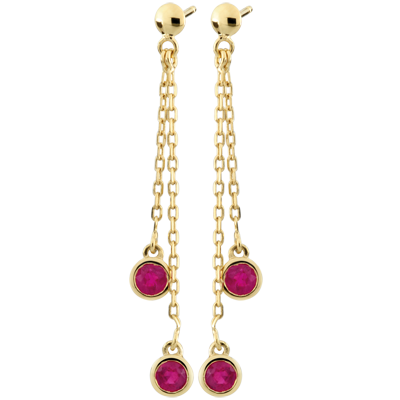 Aves del Paraíso n.º 21 Aves del Paraíso n.º 21