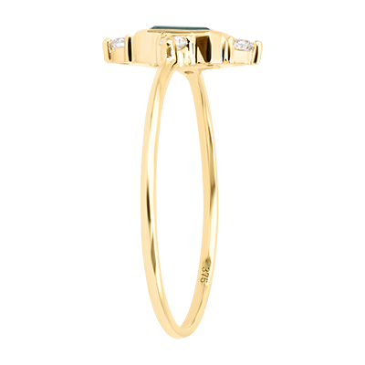 Aves del Paraíso n.º 23