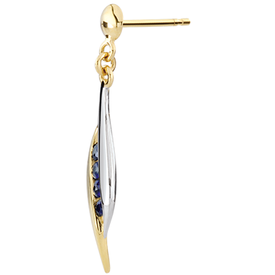 Aves del Paraíso n.º 23