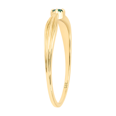 Aves del Paraíso n.º 26