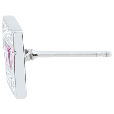 Aves del Paraíso n.º 26