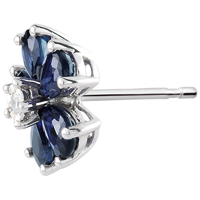 Aves del Paraíso n.º 31