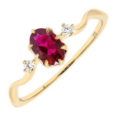 Aves del Paraíso n.º 34