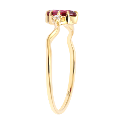 Aves del Paraíso n.º 34