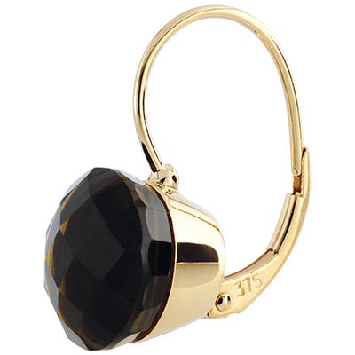 Aves del Paraíso n.º 37