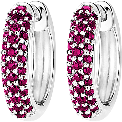 Aves del Paraíso n.º 40 Aves del Paraíso n.º 40