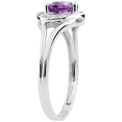 Aves del Paraíso n.º 5