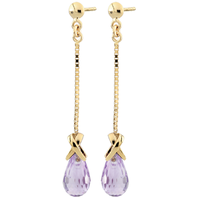 Aves del Paraíso n.º 7