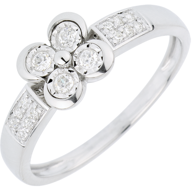 Blüte Nr. 3 Blüte Nr. 3