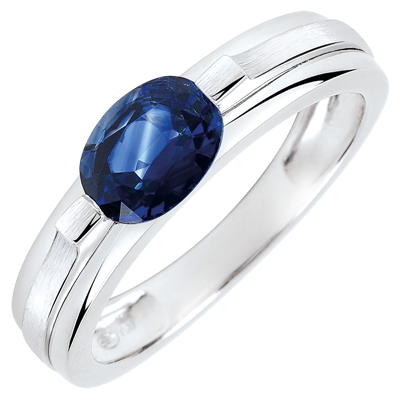 Constelaţie nr. 13 Constelaţie nr. 13