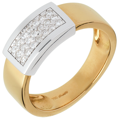 Constelaţie nr. 15 Constelaţie nr. 15