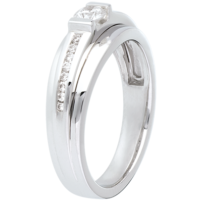 Constellation nº 14