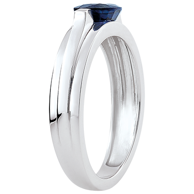 Constellation No. 13