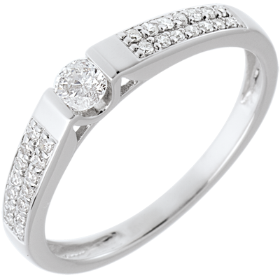 Constellation No. 41