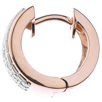 Costellazione Nº5