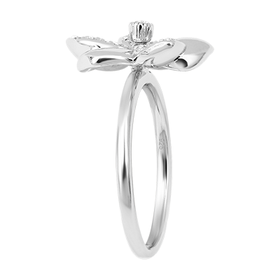 Creación del « Atelier » n.º 7