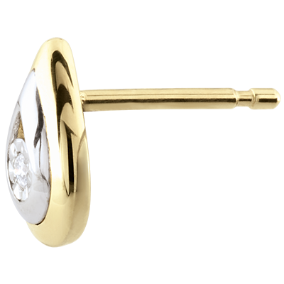 Cuib Preţios nr. 15