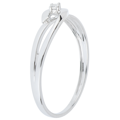 Cuib Preţios nr. 17