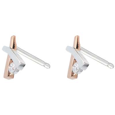 Cuib Preţios nr. 17