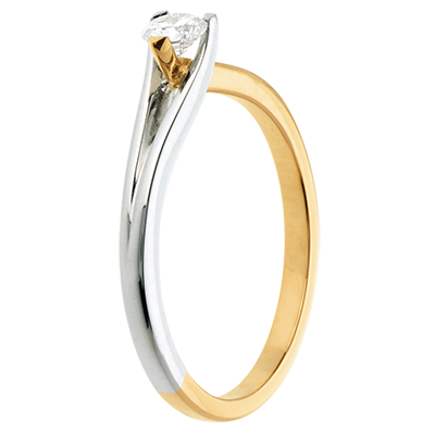 Cuib Preţios nr. 34