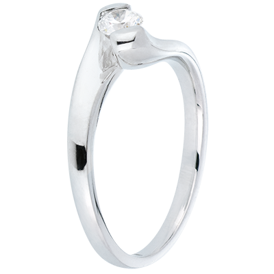 Cuib Preţios nr. 76