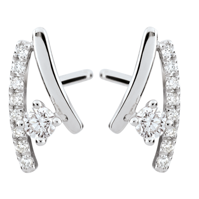 Erina Diamond Earrings 18 Carats Erina Diamond Earrings 18 Carats