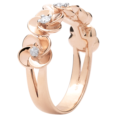 Eclosion Nº6