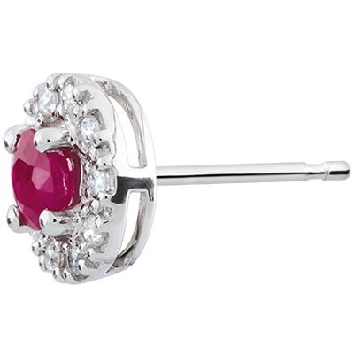 Edelweiss Eterna n.º 5