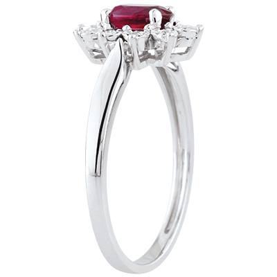 Eeuwige Edelweiss nr. 1