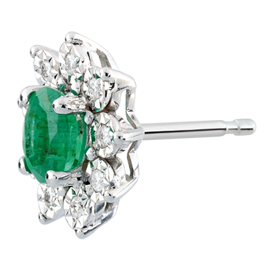 Eeuwige Edelweiss nr. 4