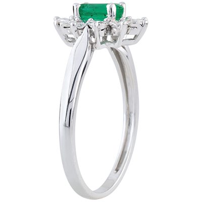 Eternal Edelweiss No. 1