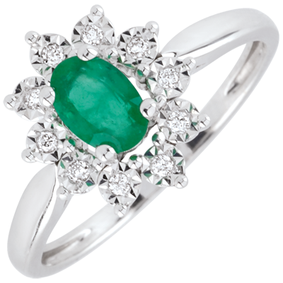 Eternal Edelweiss No. 1